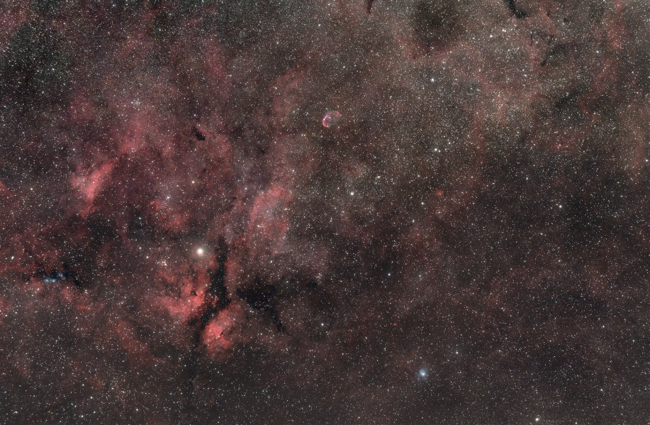 IC 1318 - Sadr et sa région