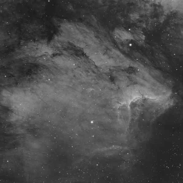 IC 5070 - Nébuleuse du Pélican